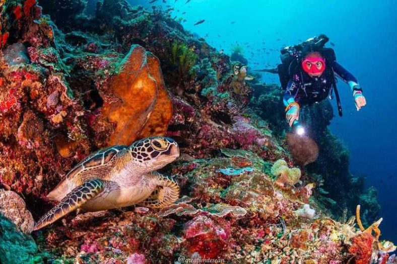 Wisata Bahari Bunaken Snorkeling dan Keanekaragaman Laut