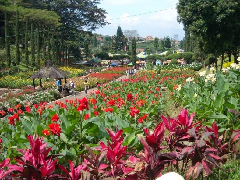 Kota Bunga Tomohon